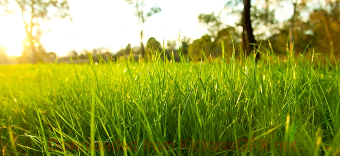 账号注册码的DDOS攻击测试